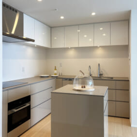 Kitchen Case92