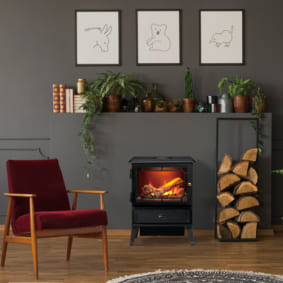Dimplex Electric Fire