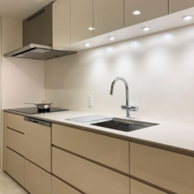 Kitchen Case79