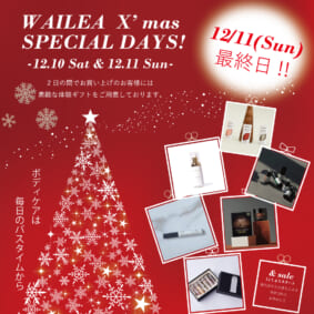 WAILEA Christmas2022 12/11(SUN)最終日‼