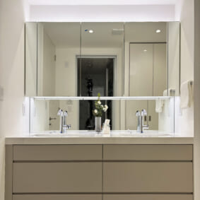 Powder Room Case 147