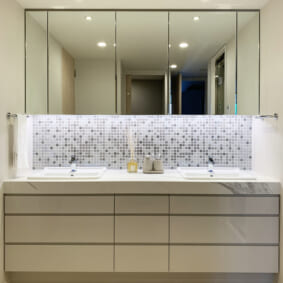 Powder Room Case 105