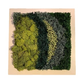 green senses