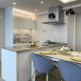 Kitchen Case47