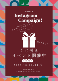 WAILEA表参道「くじ引きイベント」開催いたします【終了いたしました】