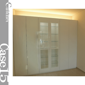 cabinet case 15