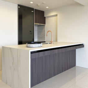 Kitchen Case106