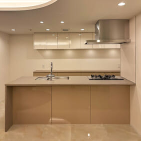 Kitchen Case81
