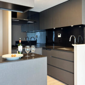 Kitchen Case94