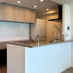 Kitchen Case95