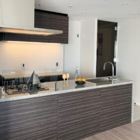 Kitchen Case37